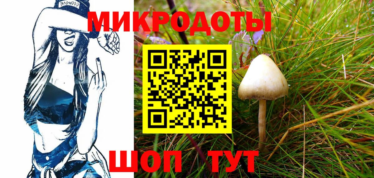 Псилоцибиновые грибы Cubensis  Вход с VPN  Городец  Псилоцибиновые грибы Magic Shrooms 